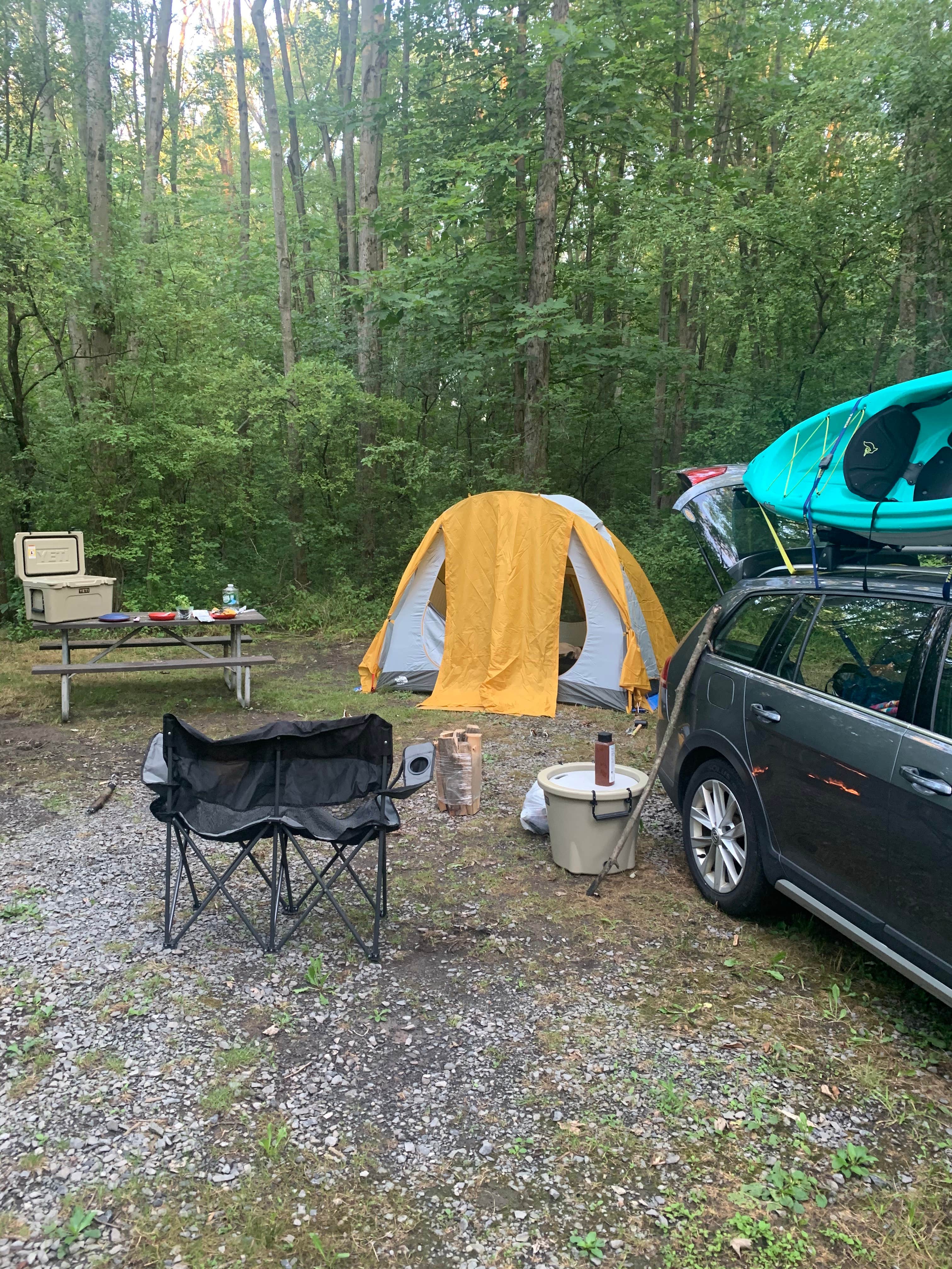Camper submitted image from Cayuga Lake State Park Campground - 4