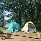 Review photo of Oak Woods Campground — Lake Shetek State Park by Joanna B., August 7, 2020
