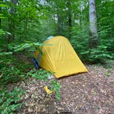 Review photo of Quaker Area — Allegany State Park State Park by Laura Nicole A., August 7, 2020