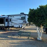 Review photo of Orange Grove RV Park by Pete M., August 7, 2020