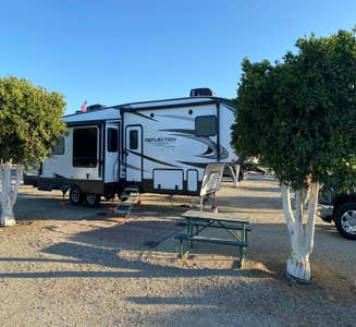 Camper-submitted photo from Orange Grove RV Park