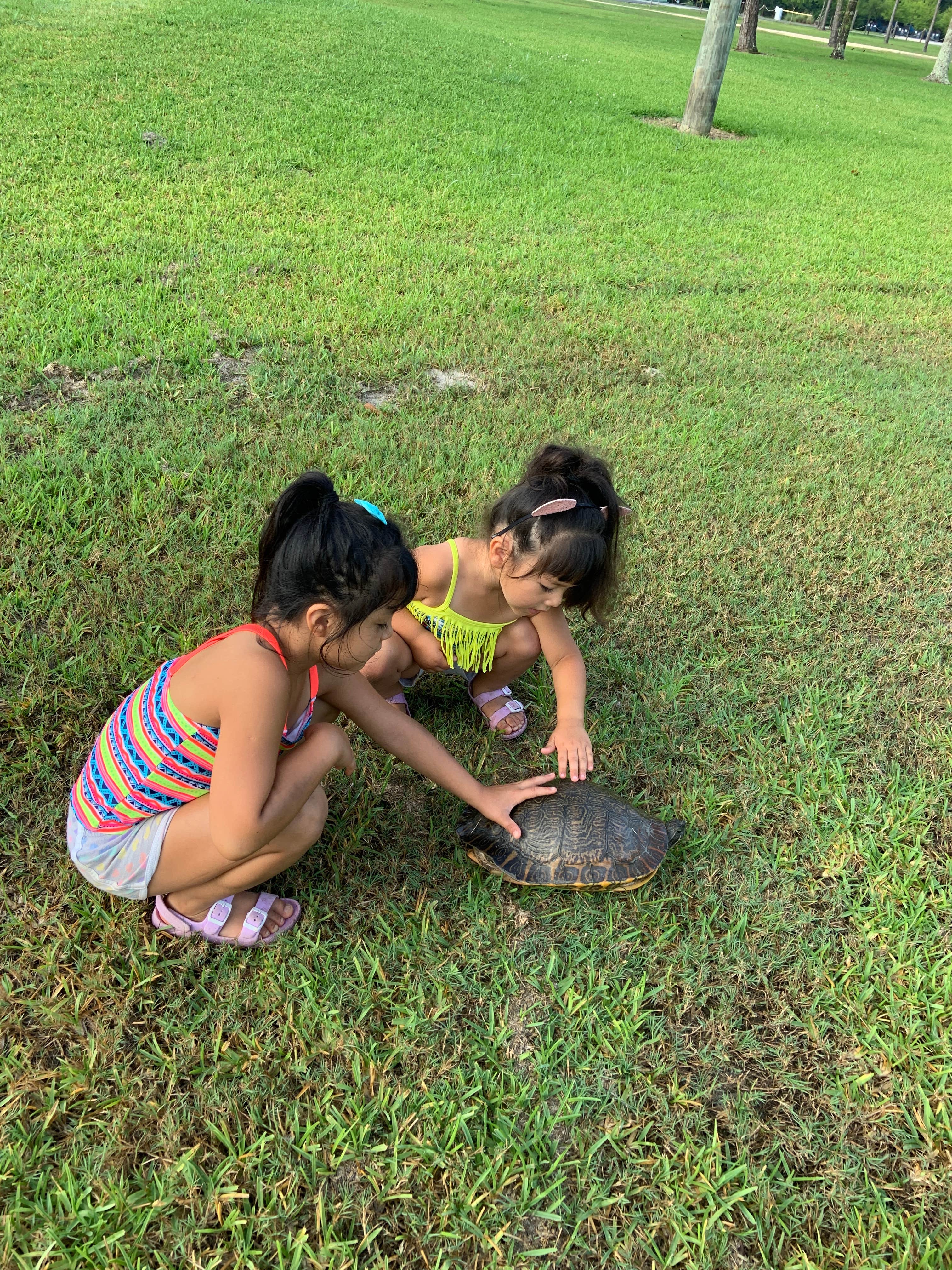 Camper submitted image from Little Lake Charles Resort - 5