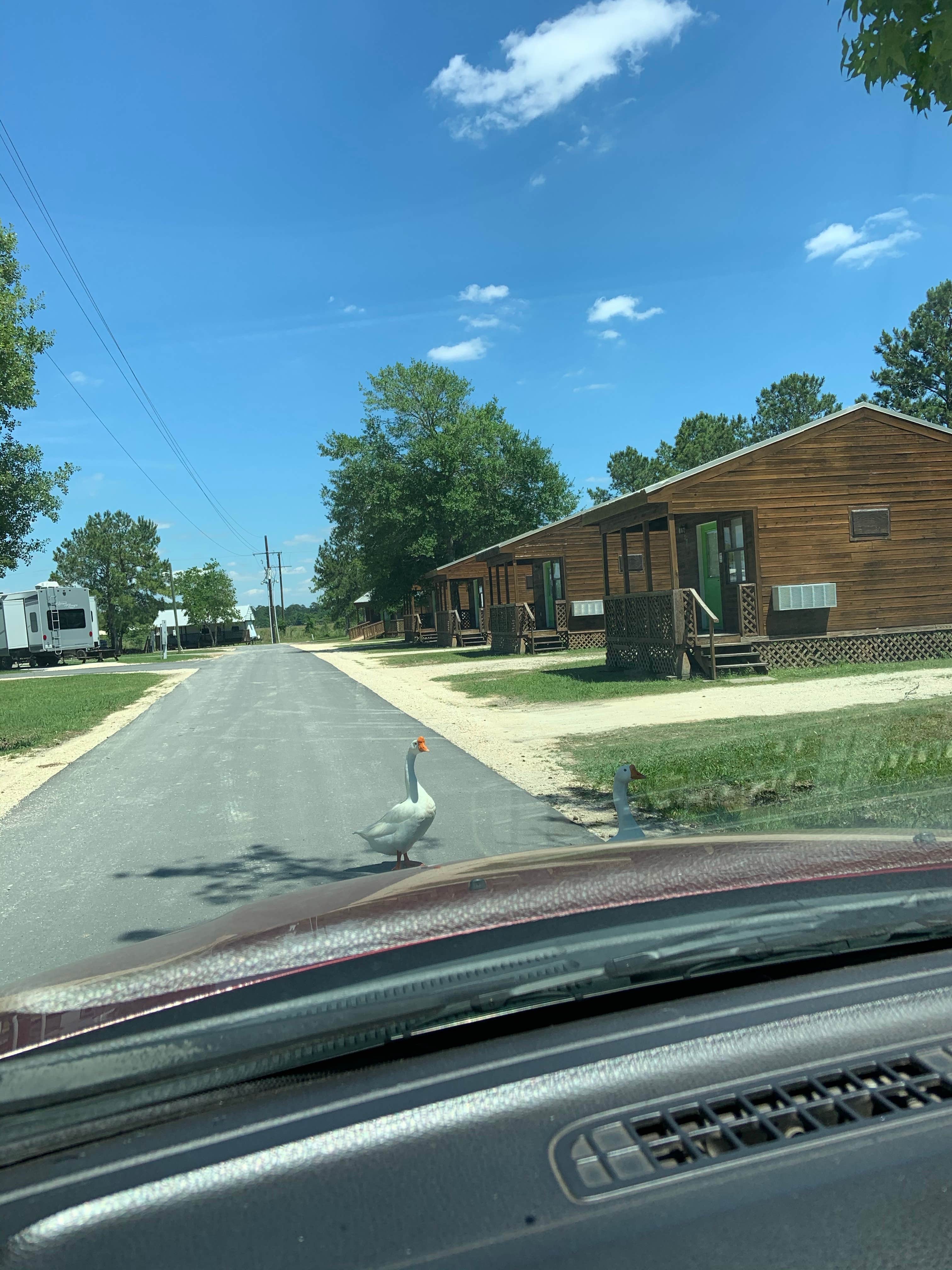 Camper-submitted photo at Little Lake Charles Resort near Jennings, LA