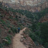 Review photo of Watchman Campground — Zion National Park by Michael I., April 18, 2018