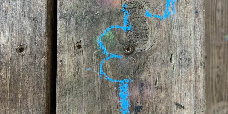 Camper submitted image from Little Lake Charles Resort