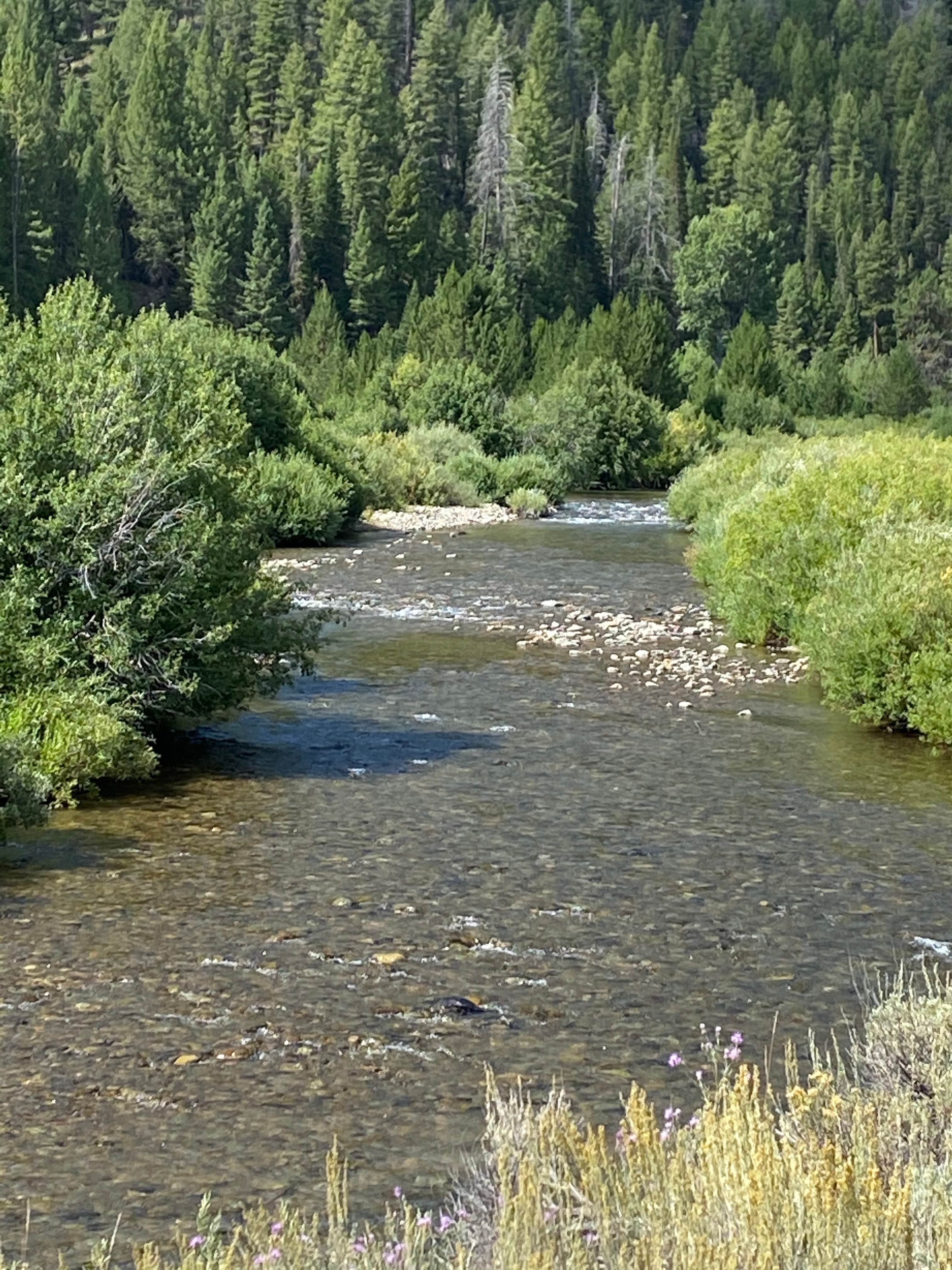 Camper submitted image from Caribou Campground - 1