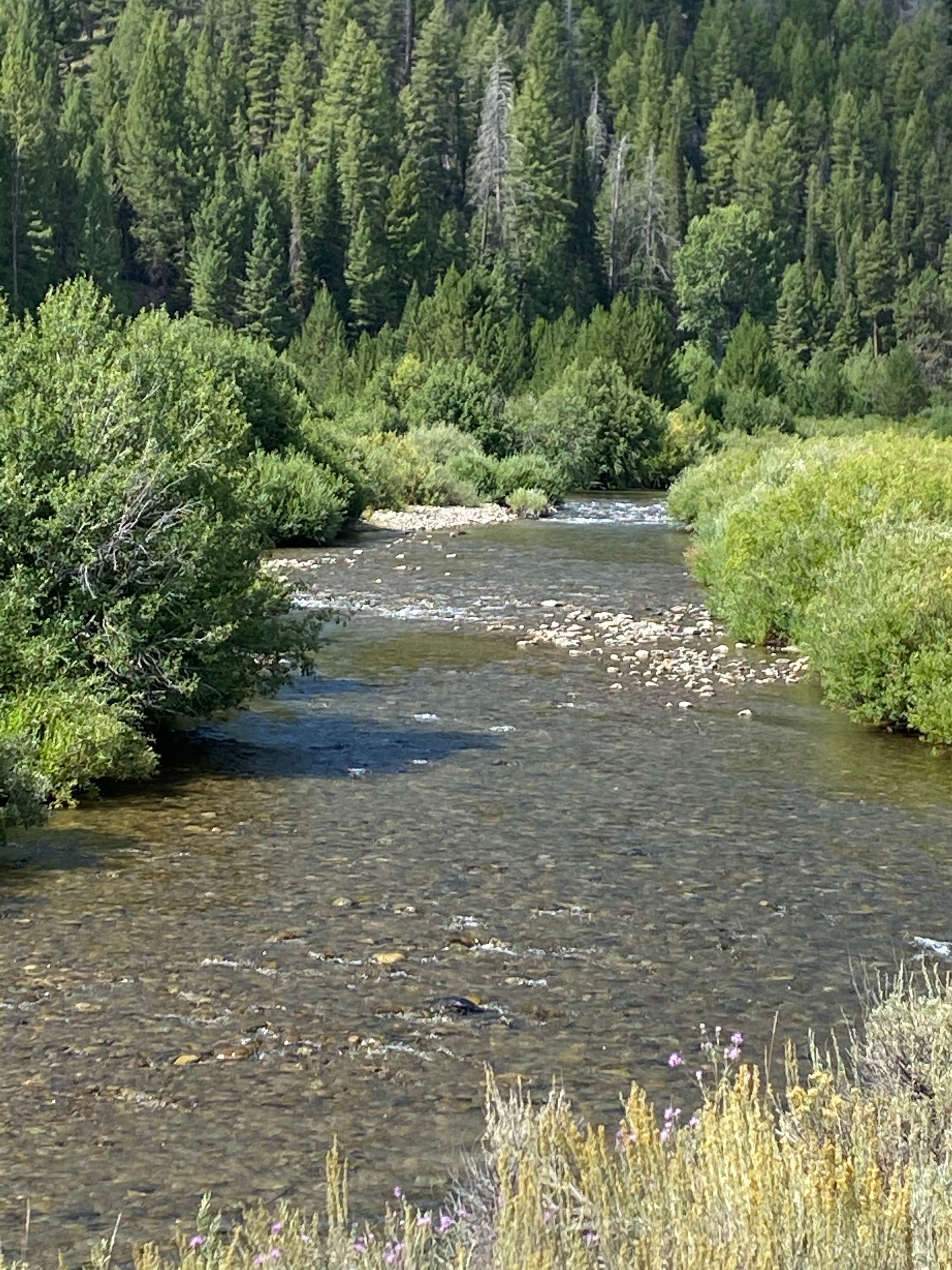View All