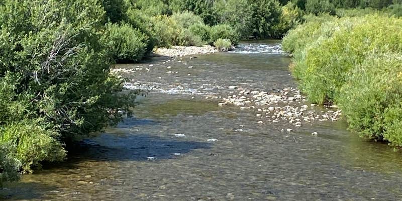 Camper submitted image from Caribou Campground