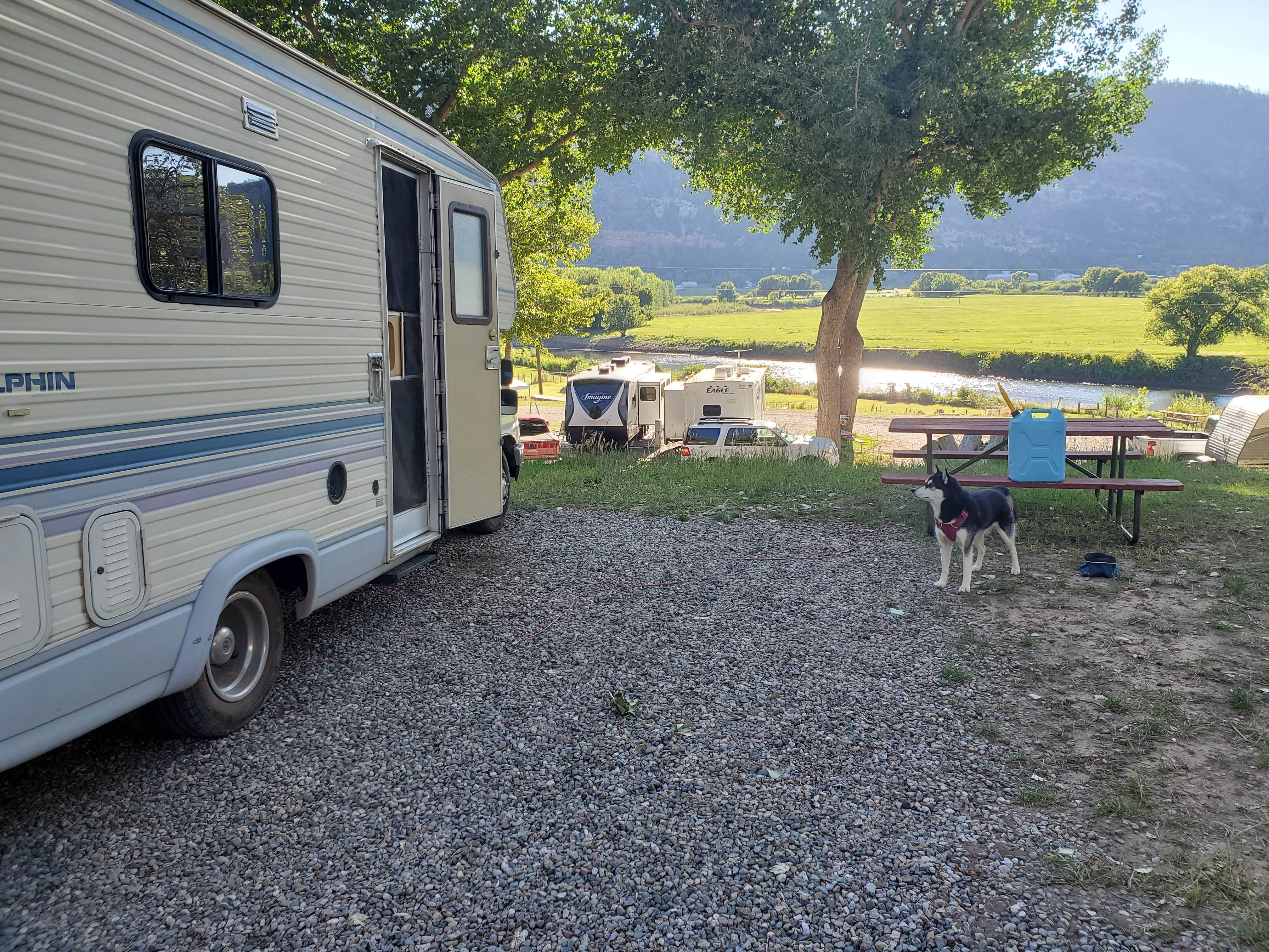 Katie H.'s photo of camping with pets at Goose Island Campground near Castle Valley, UT