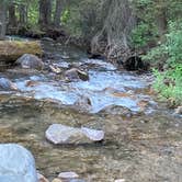 Review photo of Targhee Creek by Rhett B., August 7, 2020