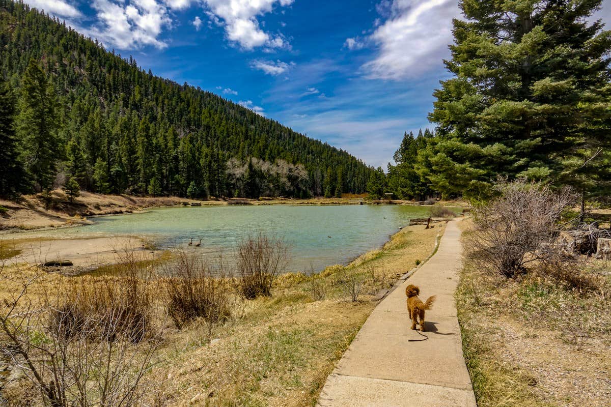 Camper submitted image from Fawn Lakes Campground - 3