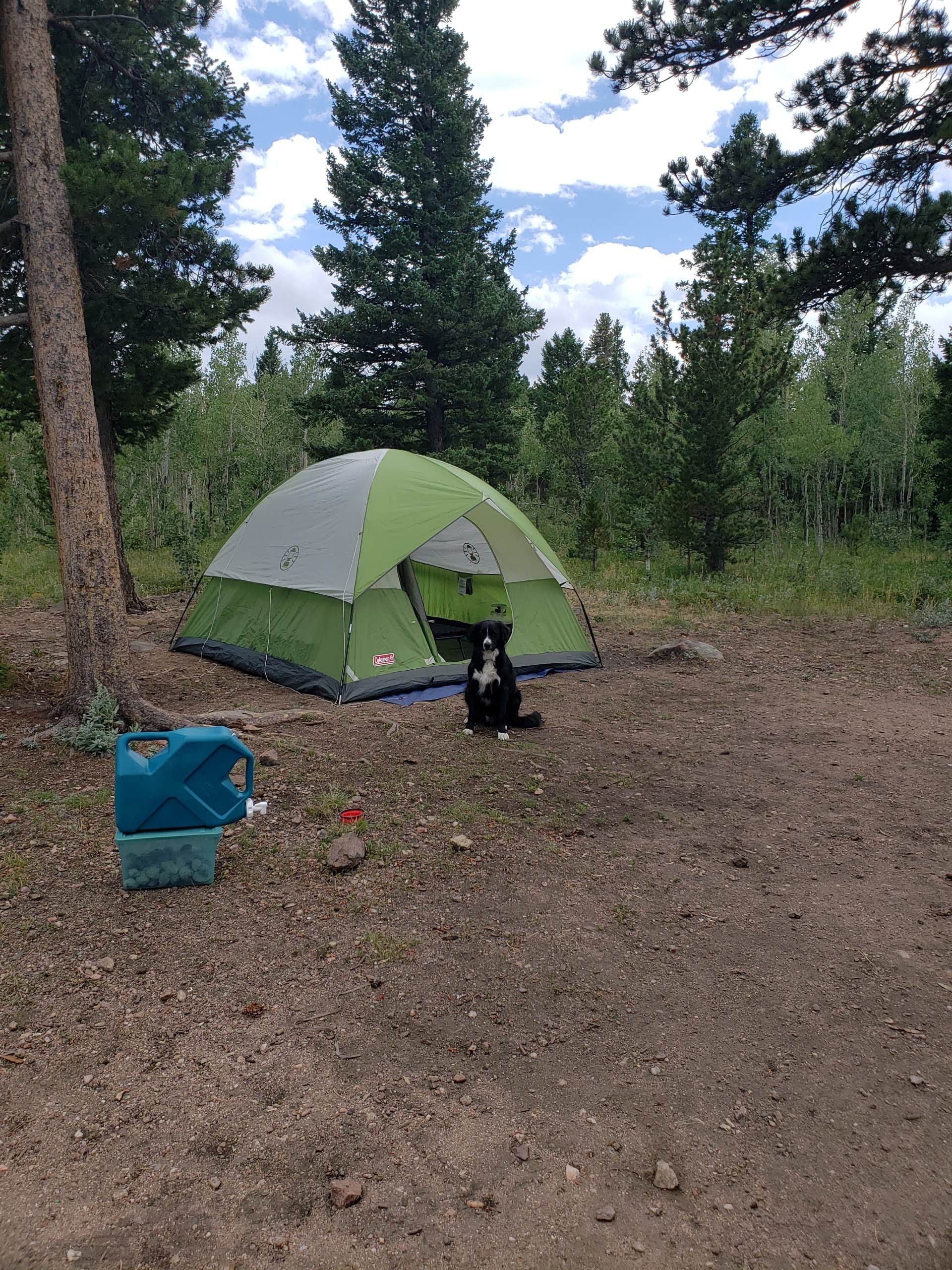Laura N.'s photo of a dispersed camping area at Gordon Gulch Dispersed Area near Nederland, CO