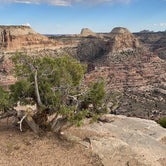 Review photo of Wedge Overlook by Dave L., August 7, 2020