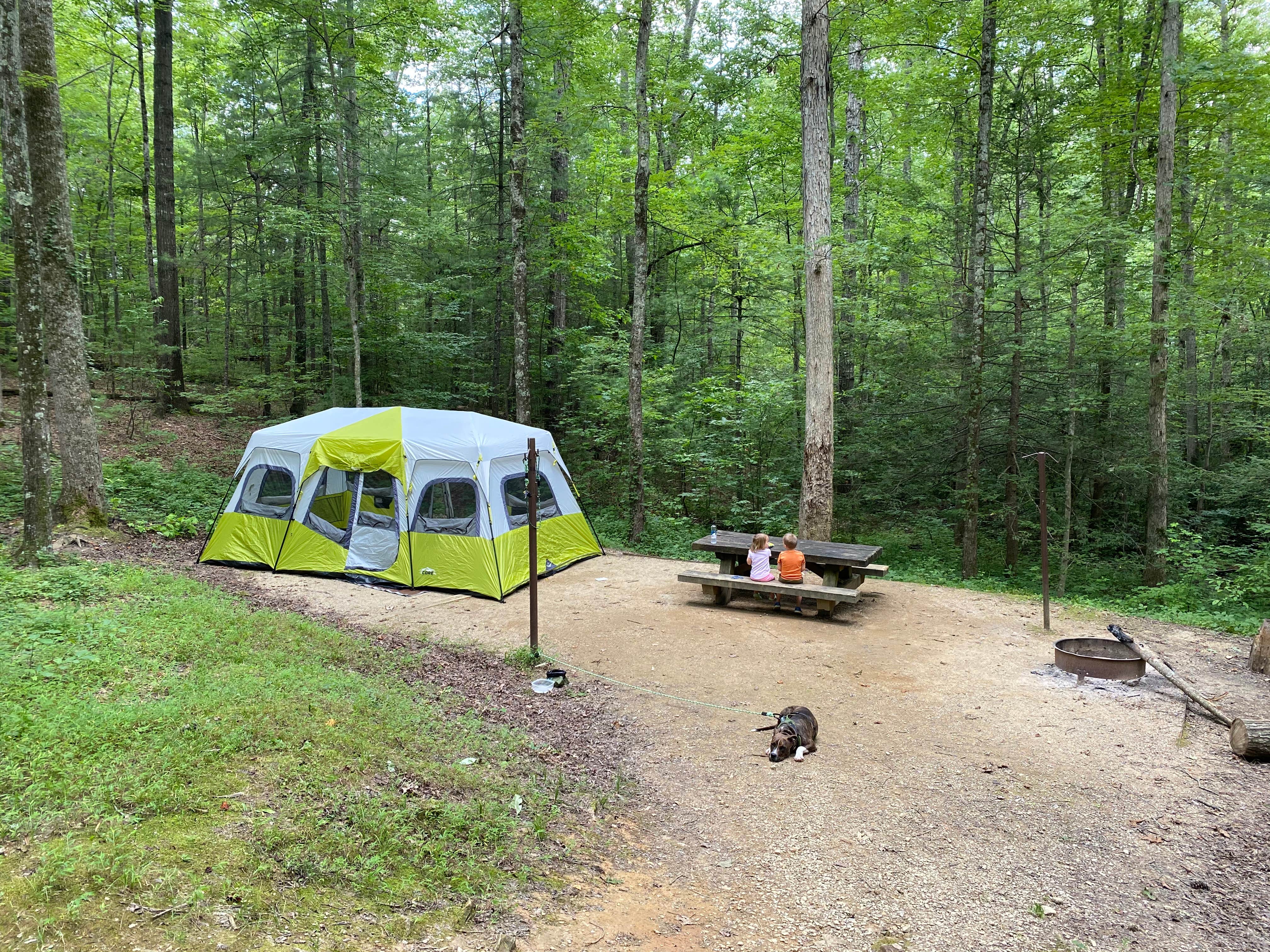 Dave M.'s photo at Koomer Ridge Campground — Daniel Boone National Forest near Means, KY