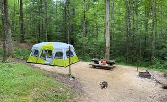 Dave M.'s photo at Koomer Ridge Campground — Daniel Boone National Forest near Beattyville, KY