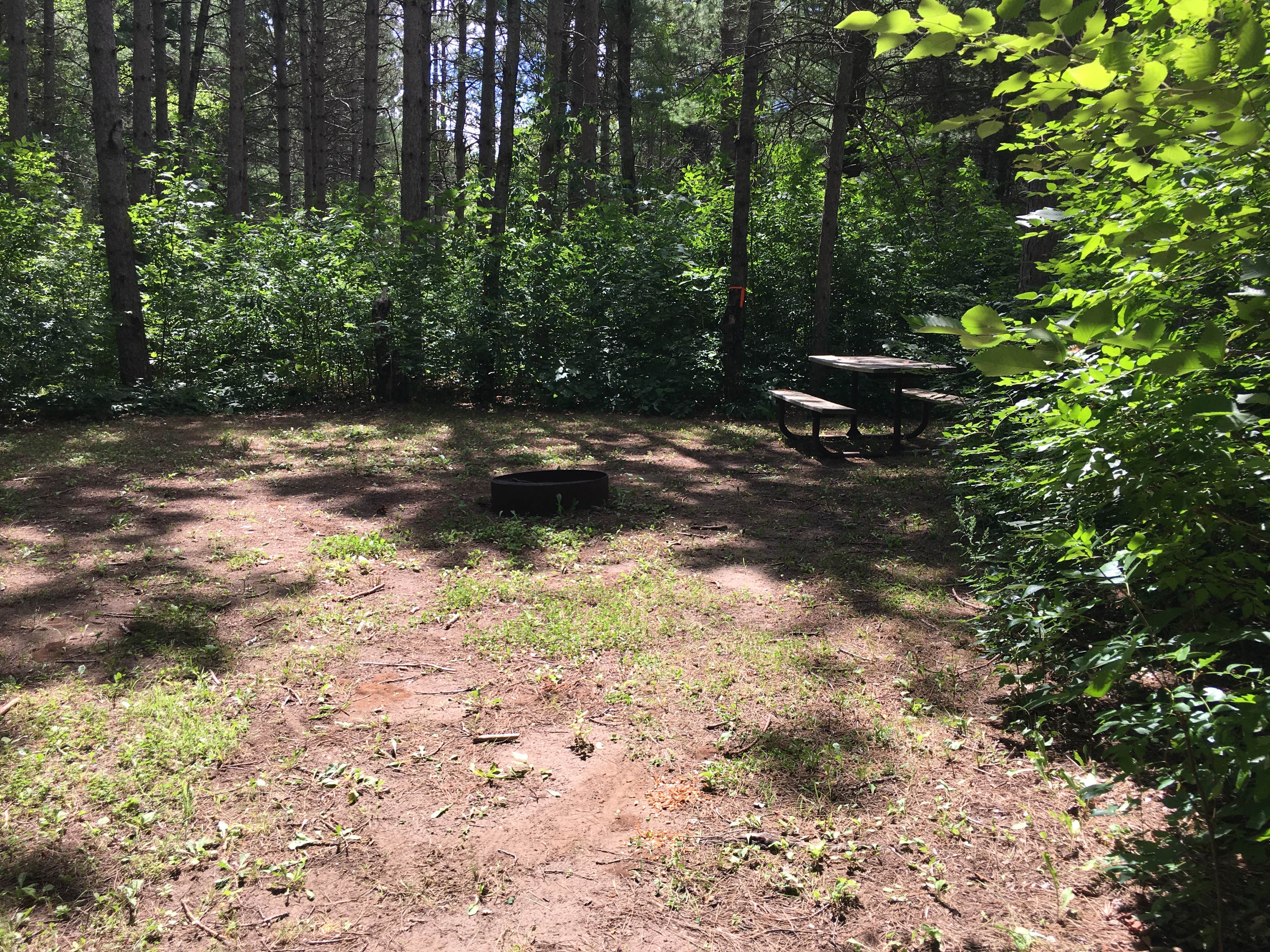 Camper submitted image from Canoe Landing  Campsite at Crow Wing State Park - 2