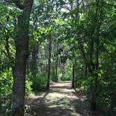 Review photo of Canoe Landing  Campsite at Crow Wing State Park by Janet R., August 7, 2020