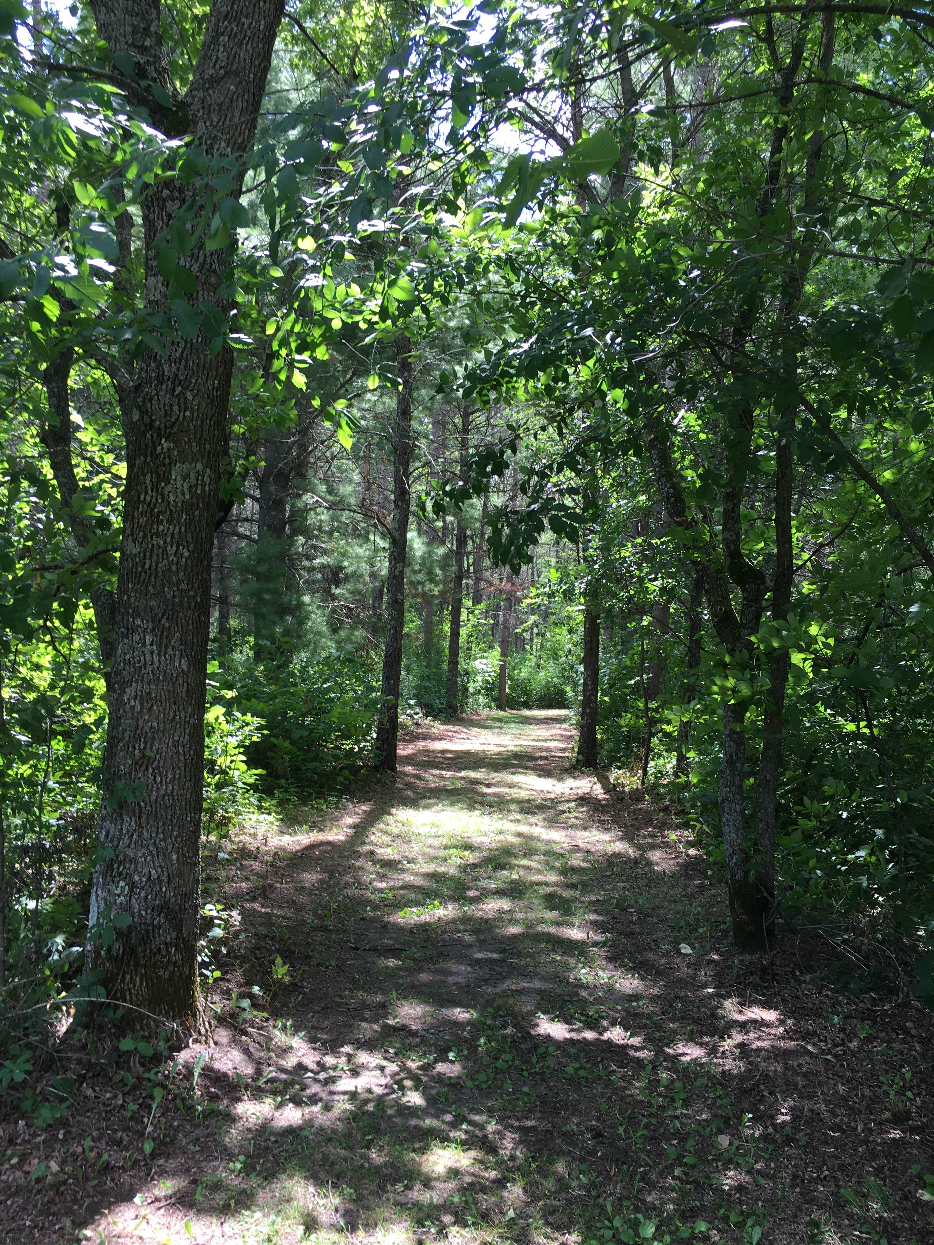 Camper submitted image from Canoe Landing  Campsite at Crow Wing State Park - 4