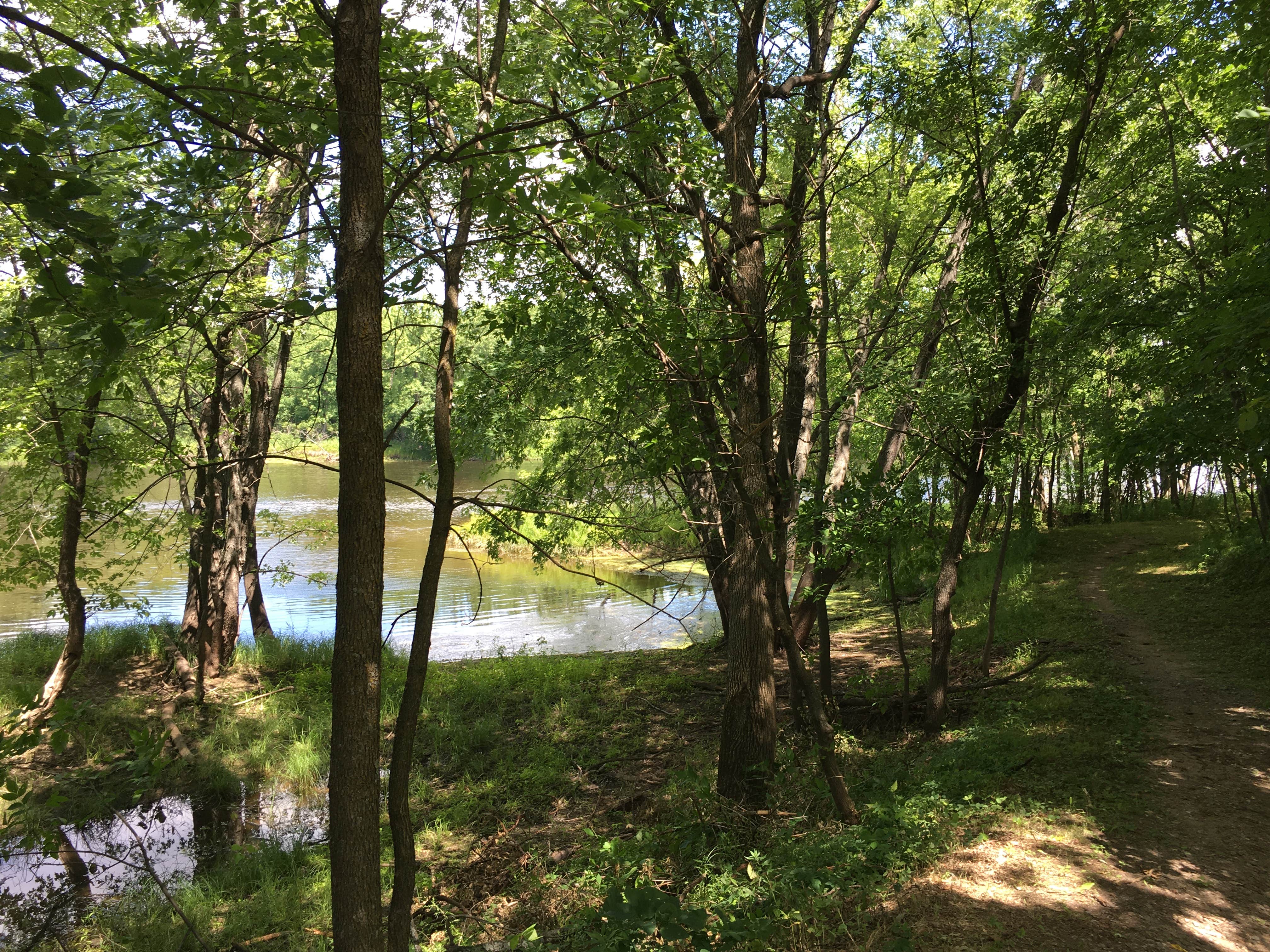Camper-submitted photo at Canoe Landing Campsite — Crow Wing State Park near Aitkin, MN