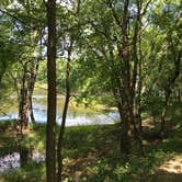 Review photo of Canoe Landing Campsite — Crow Wing State Park by Janet R., August 7, 2020