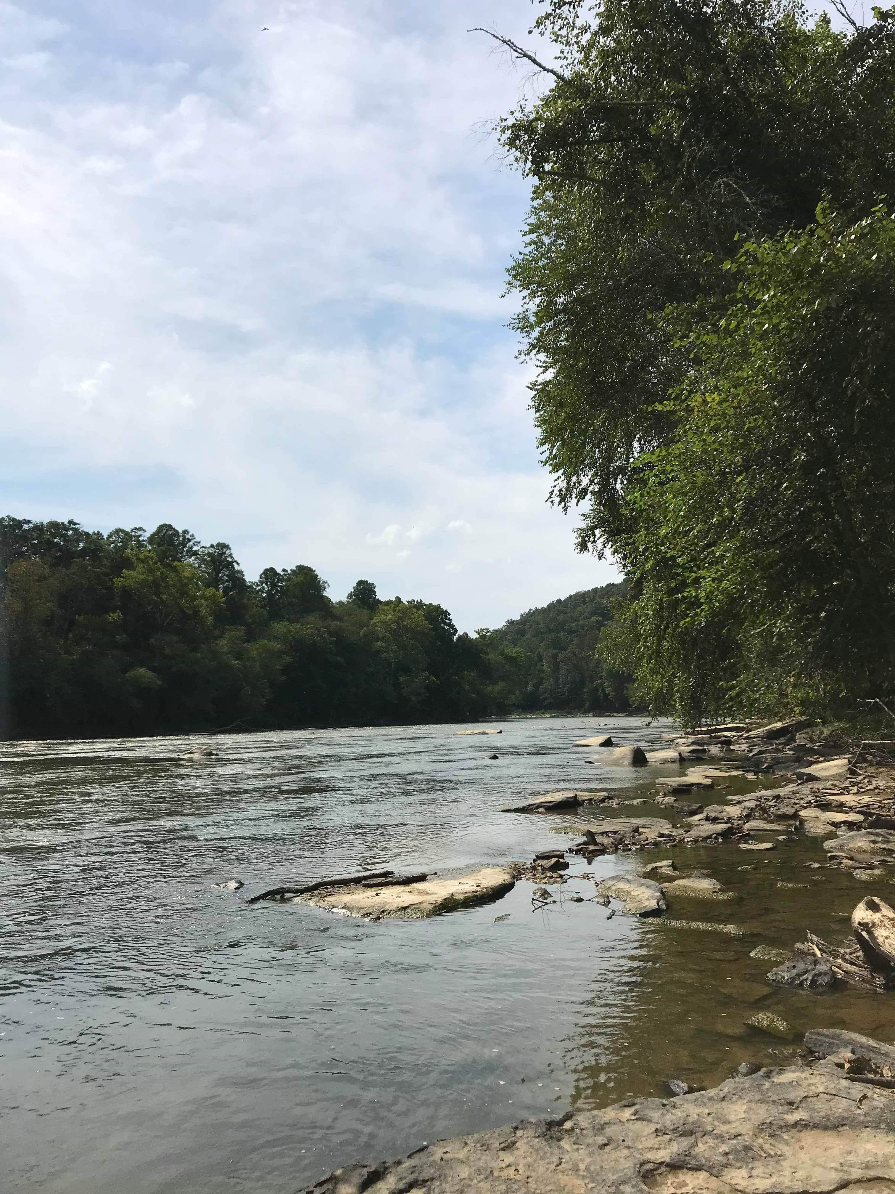 Camper submitted image from Summer Shoals Retreat - 3
