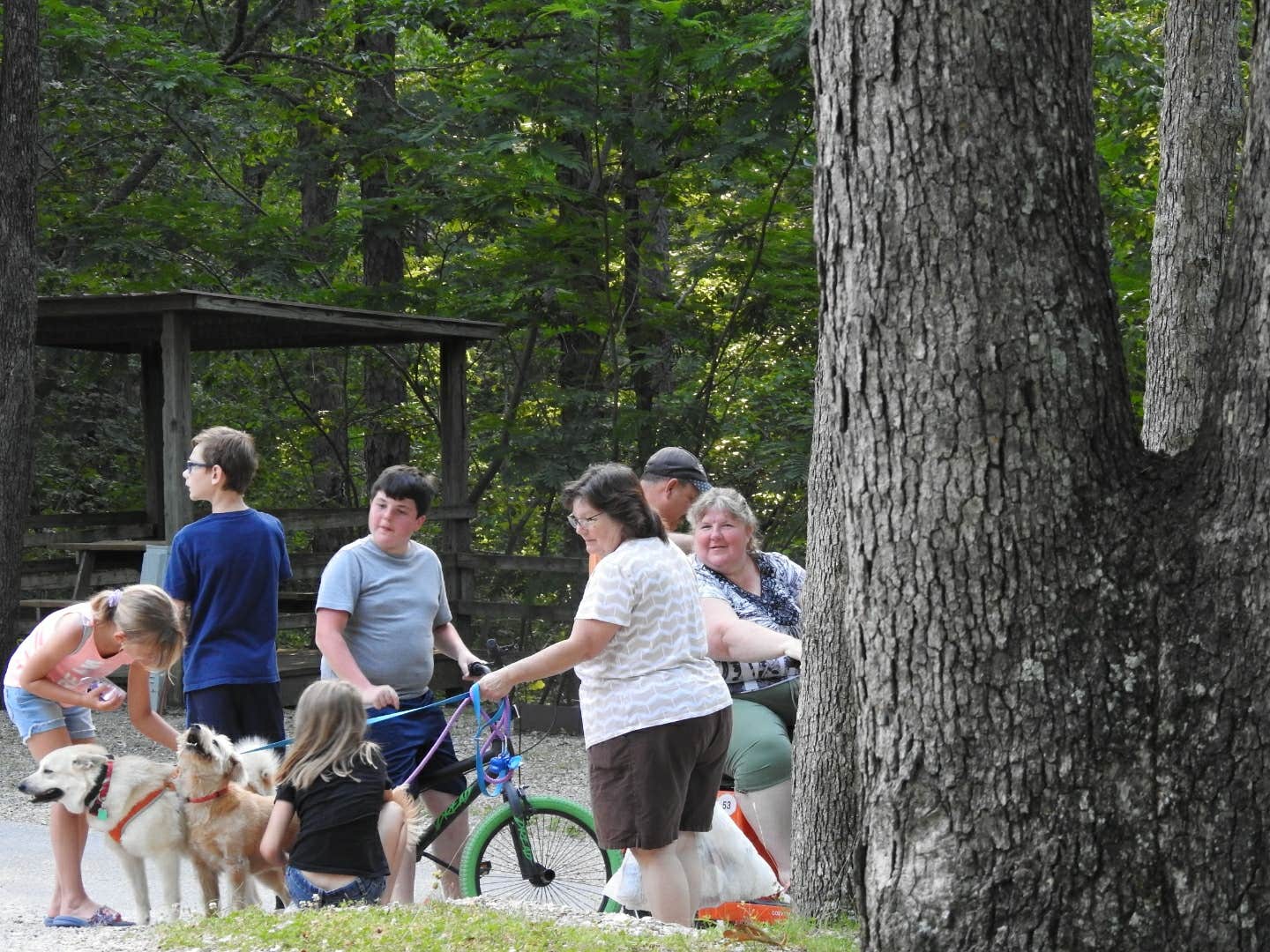 Camping near Tall Pines Campground: Branson Ridge RV Resort, Branson, Missouri