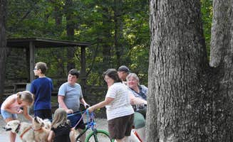 Leslie D.'s photo of camping with pets at Branson Ridge RV Resort near Reeds Spring, MO