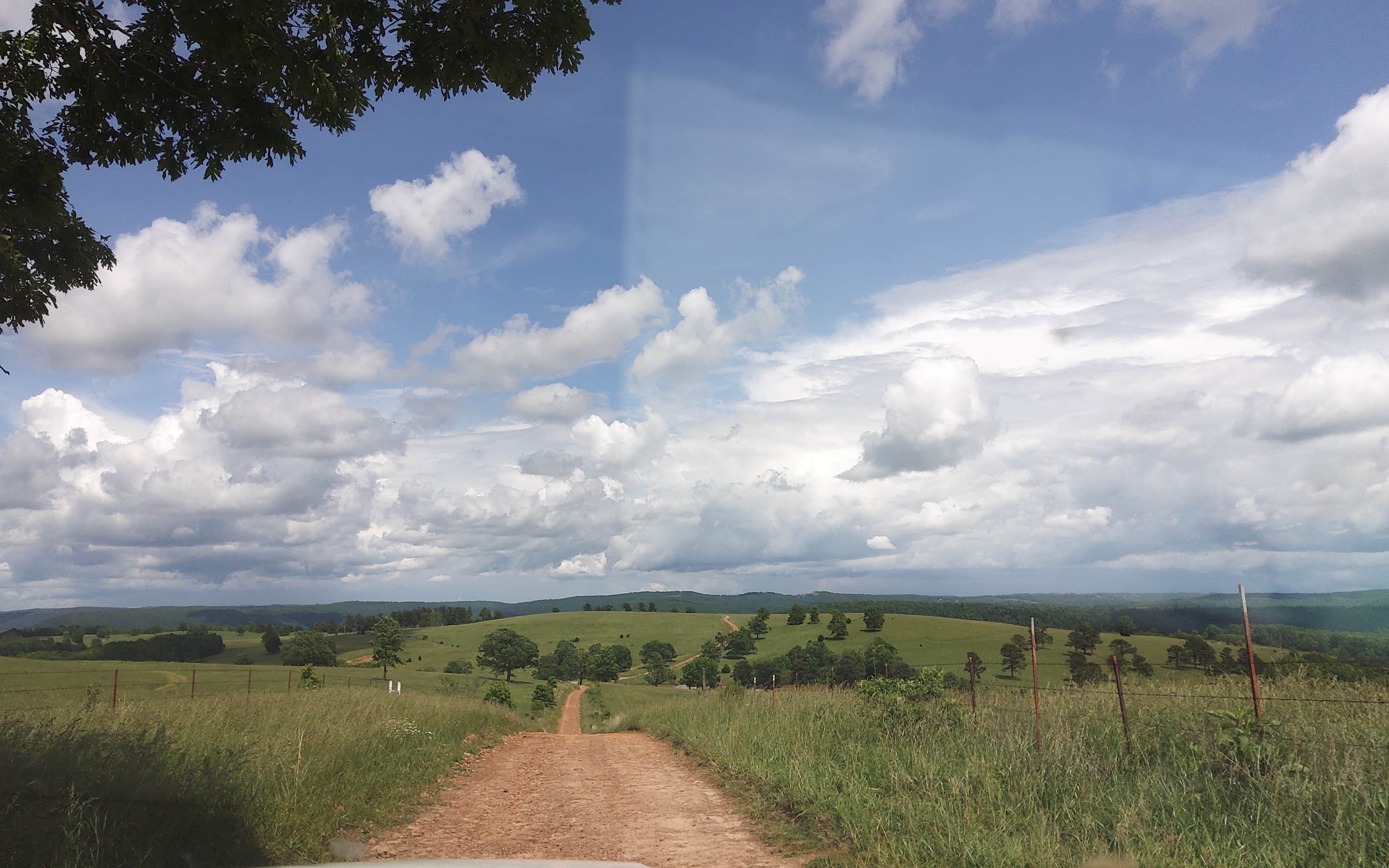 Camper submitted image from Wilderness Rider Buffalo Ranch and Adventure Park - 3