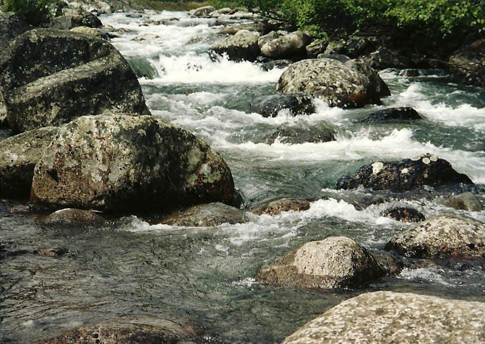 Camper submitted image from Cooper Creek South - 5