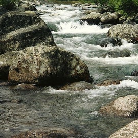 Many waterways are accessible through Cooper Creek South