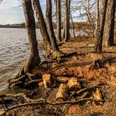 Review photo of Badin Lake Campground by Shari  G., August 7, 2020