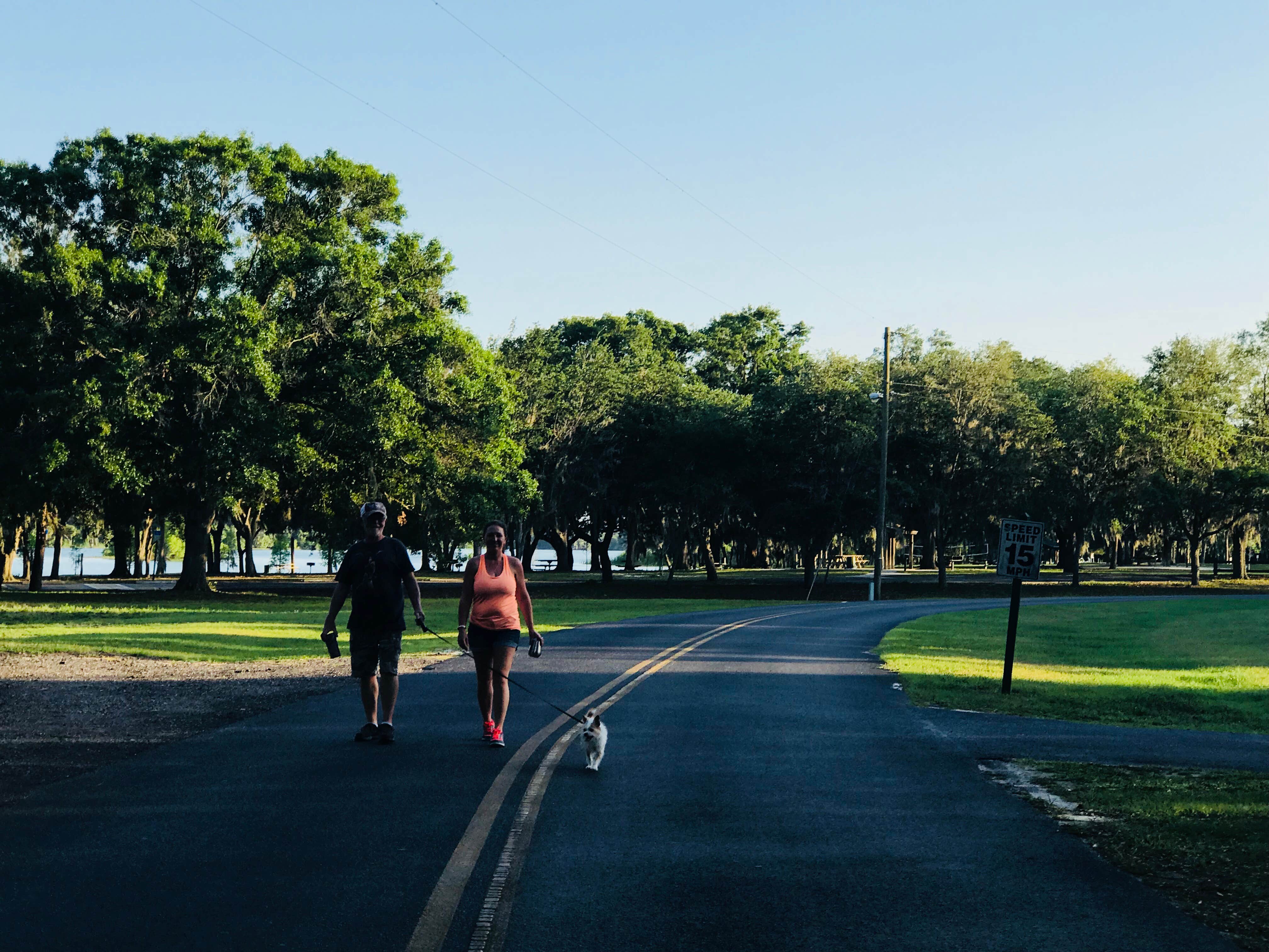 Camper-submitted photo at Edward Medard Park near Plant City, FL
