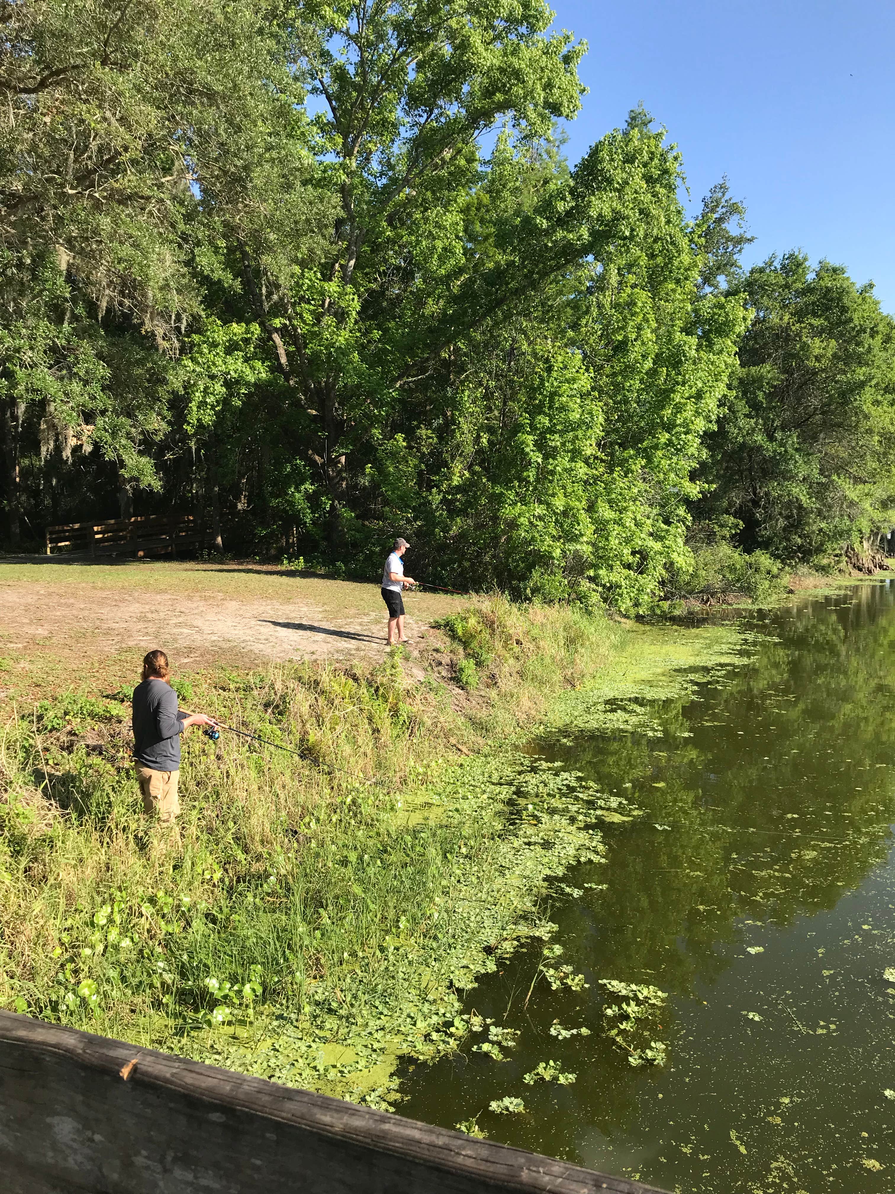 Camper-submitted photo at Edward Medard Park near Plant City, FL