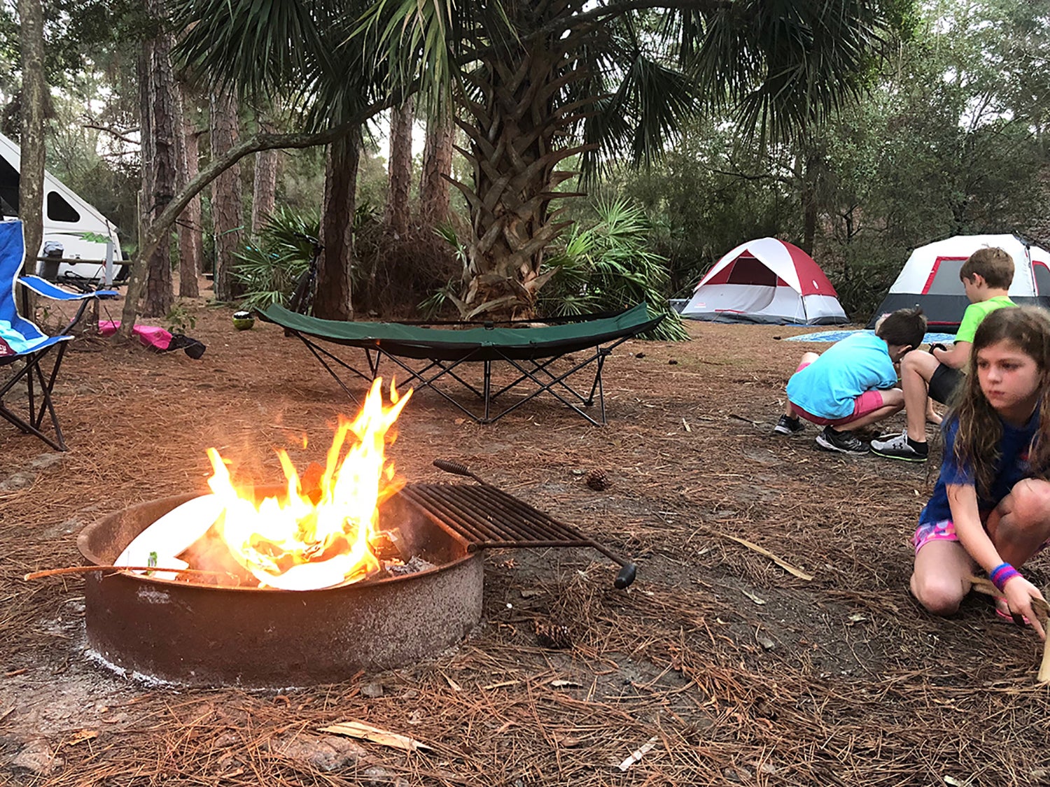 Camper submitted image from St. Andrews State Park Campground - 4