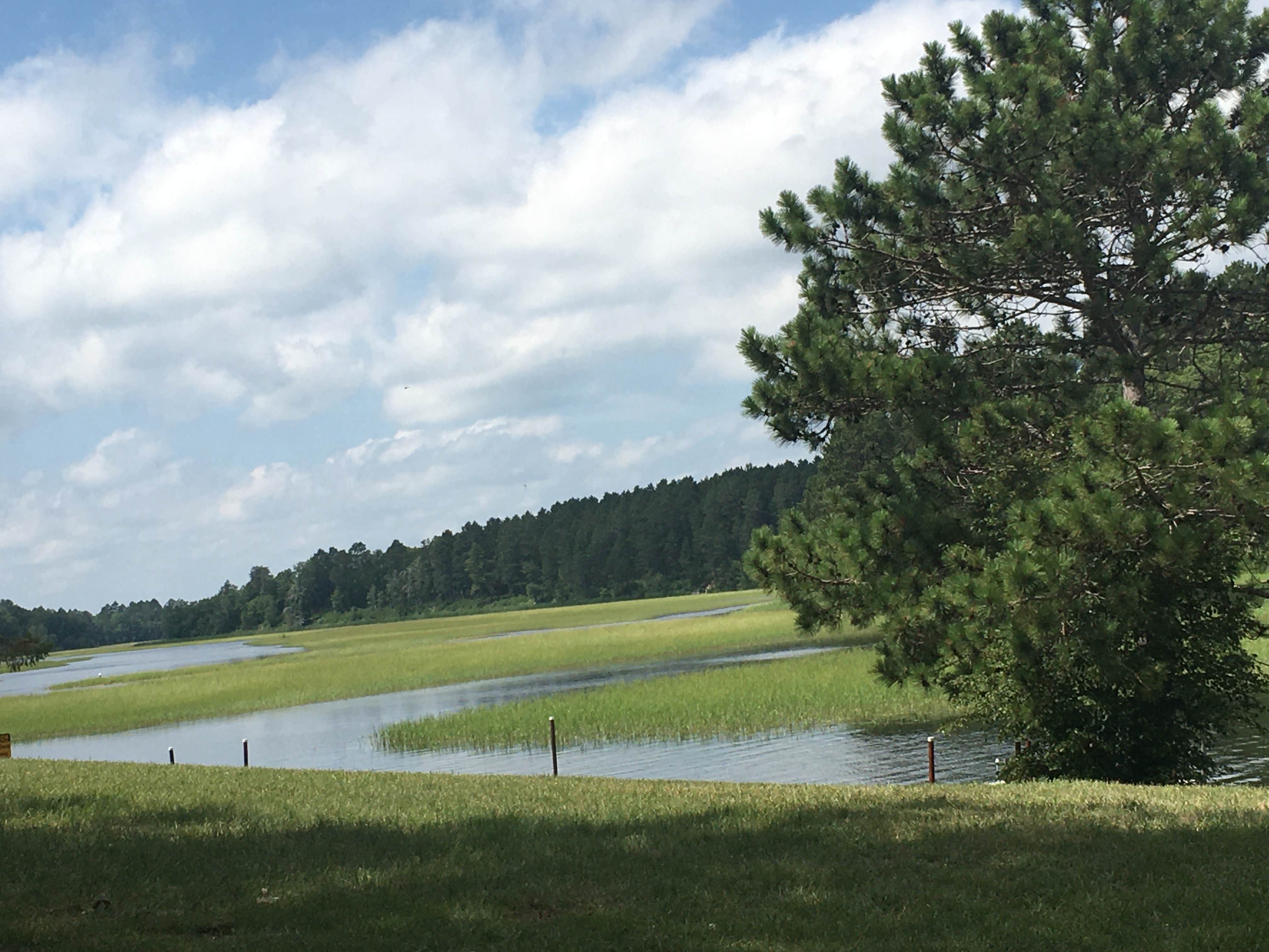 Camper-submitted photo at Becker's Resort & Campground near Chippewa National Forest