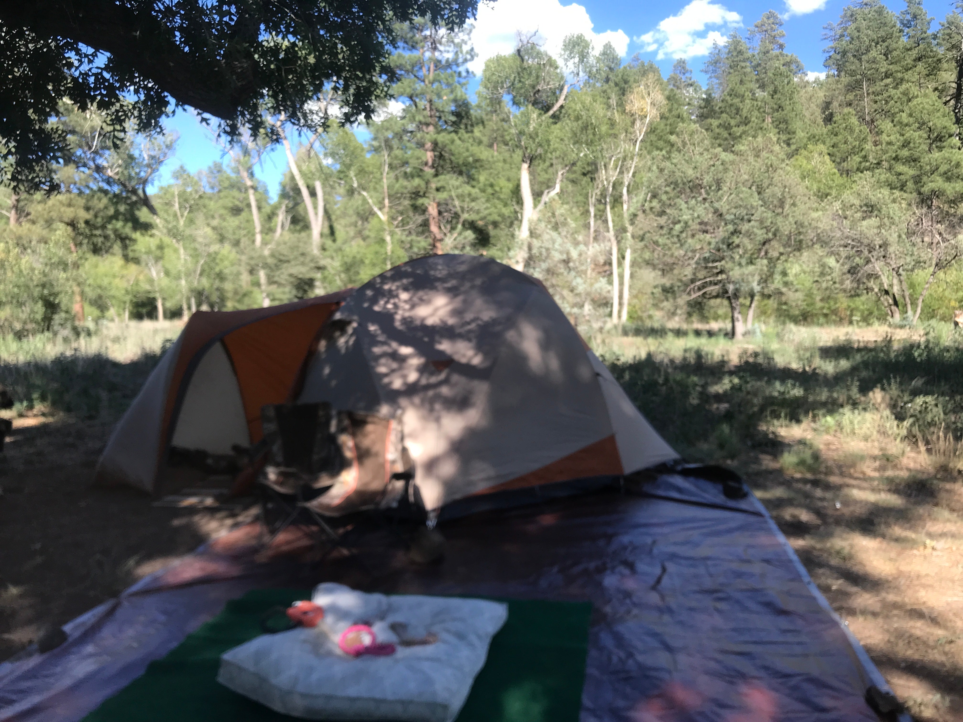 Camper submitted image from Black Canyon Campground - Lower - 3