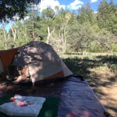 Review photo of Black Canyon Campground - Lower by Jacob B., August 7, 2020