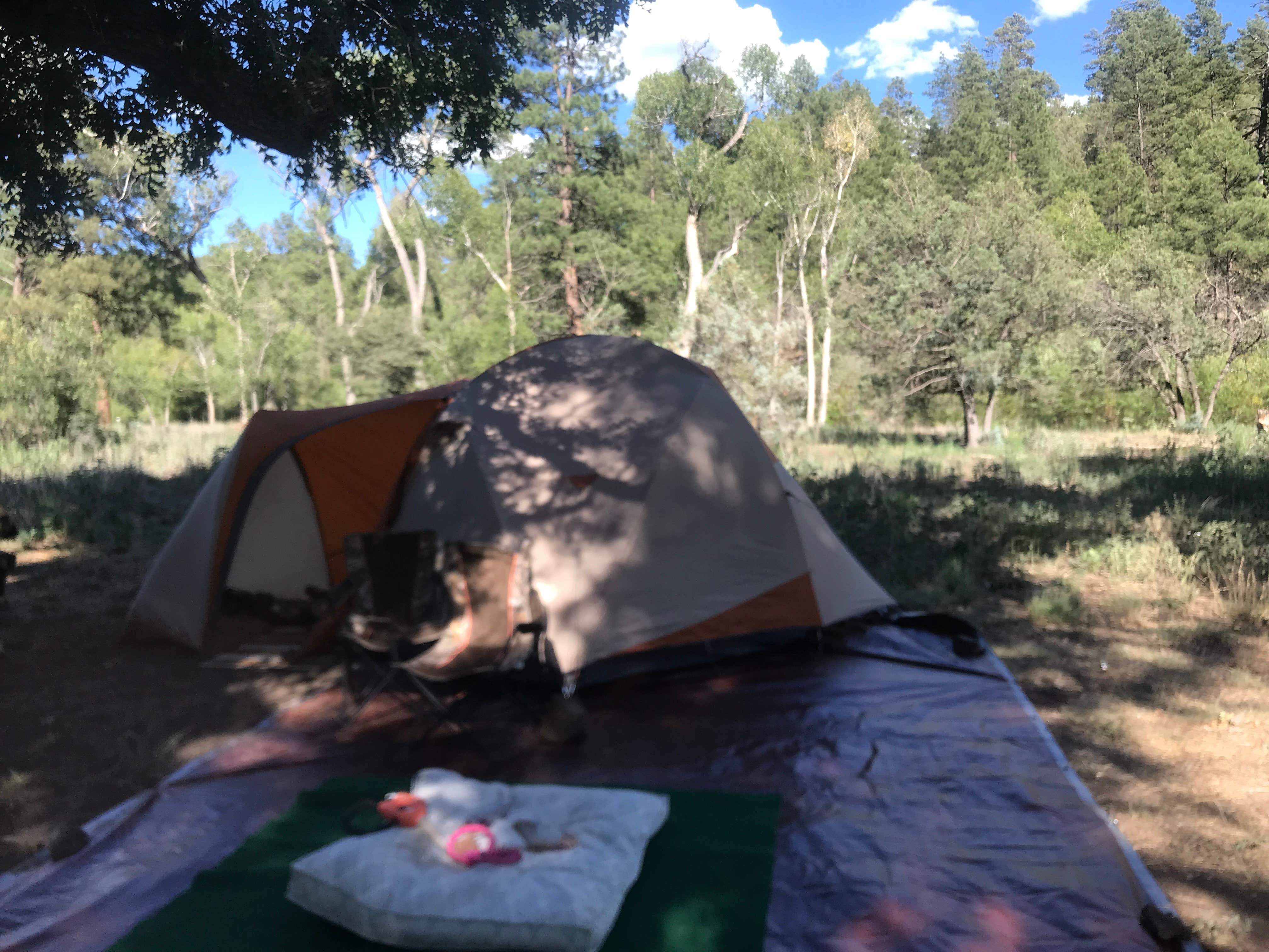 Escape To Enchantment: Uncovering The Magic Of Lower Black Canyon Campground