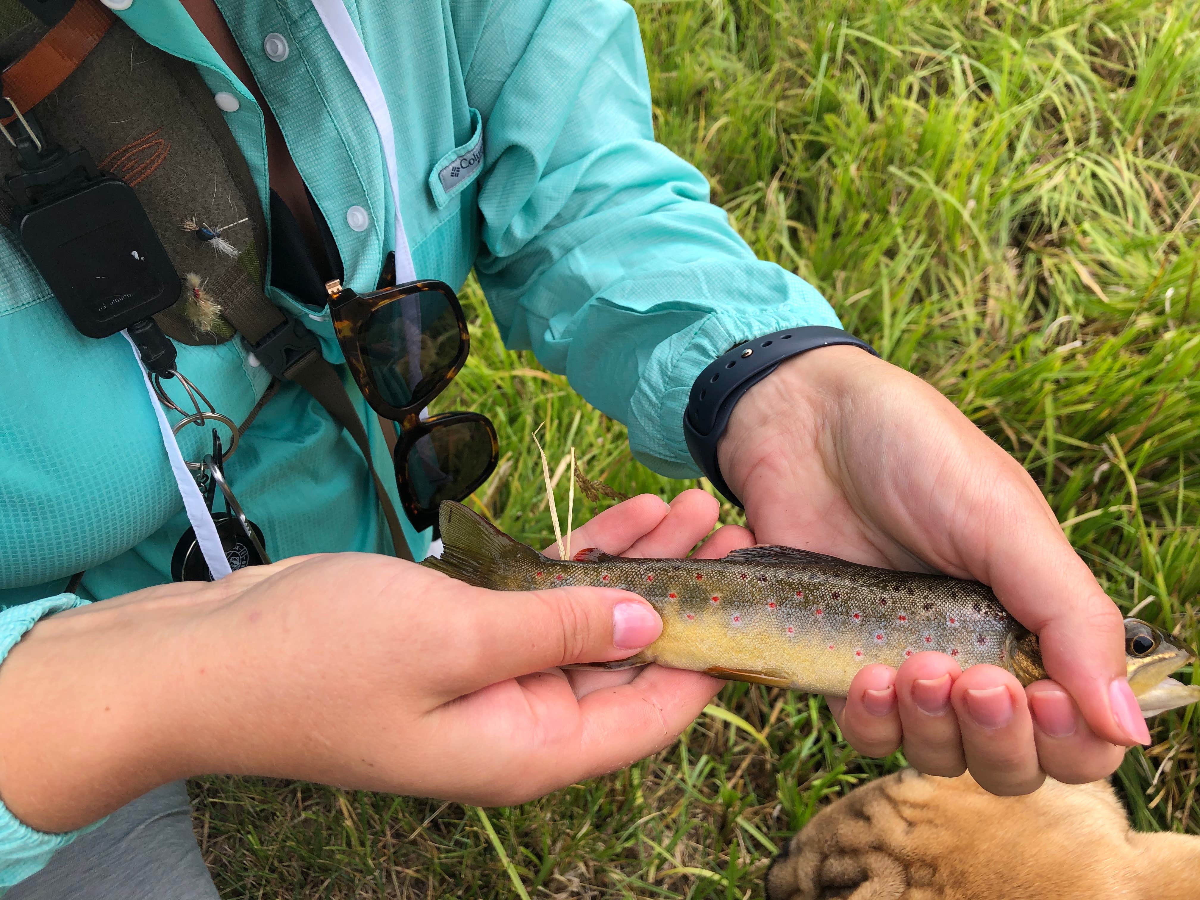 Camper-submitted photo at Calaveras Canyon near Jemez Springs, NM