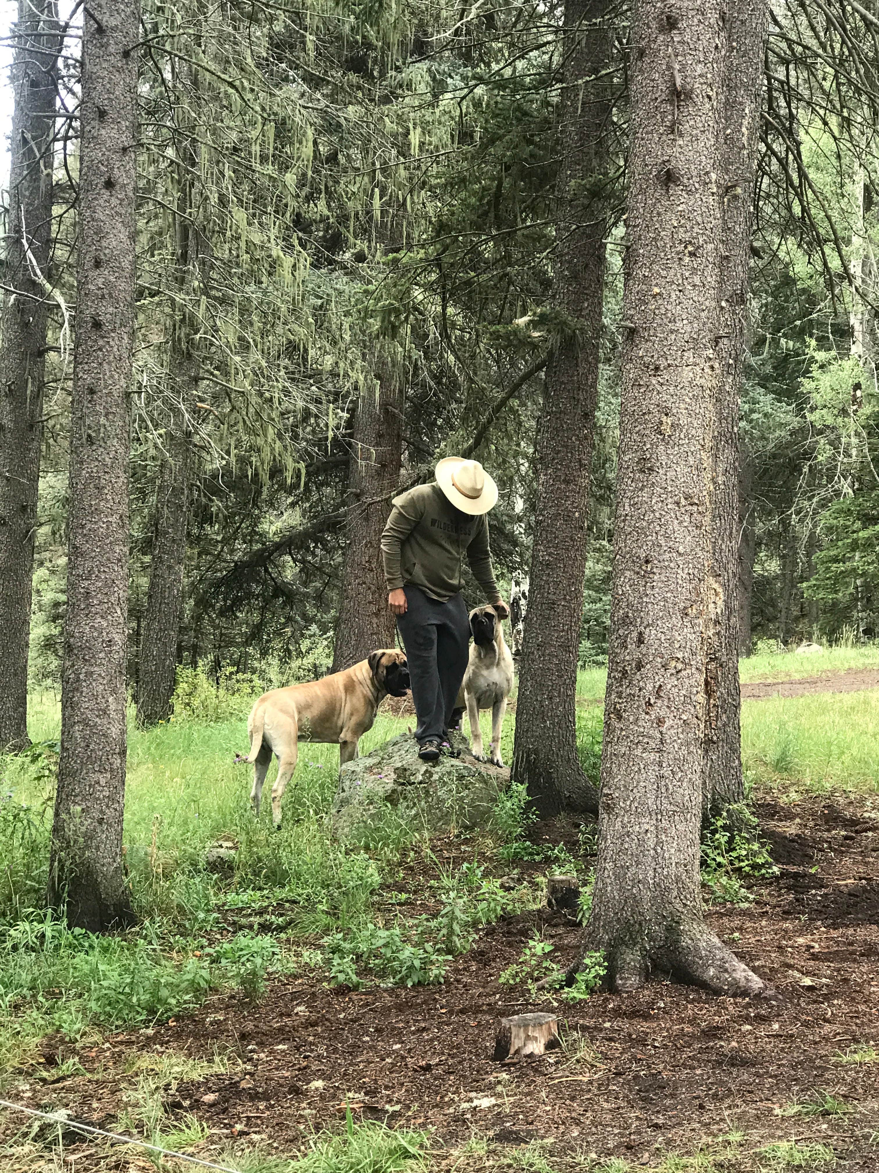 Camper submitted image from Calaveras Canyon - 4