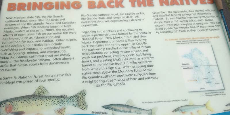 Camper submitted image from Calaveras Canyon