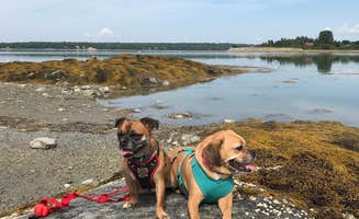Justin F.'s photo of camping with pets at Bar Harbor/Oceanside KOA near Sorrento, ME