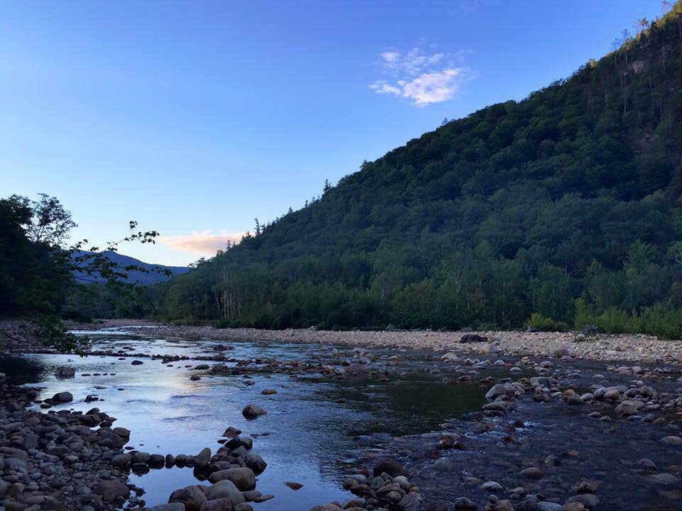 Camper submitted image from Crawford Notch Campground - 3