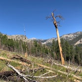 Review photo of Kyle Canyon Campground by Andrew J., August 7, 2020