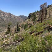 Review photo of Kyle Canyon Campground by Andrew J., August 7, 2020