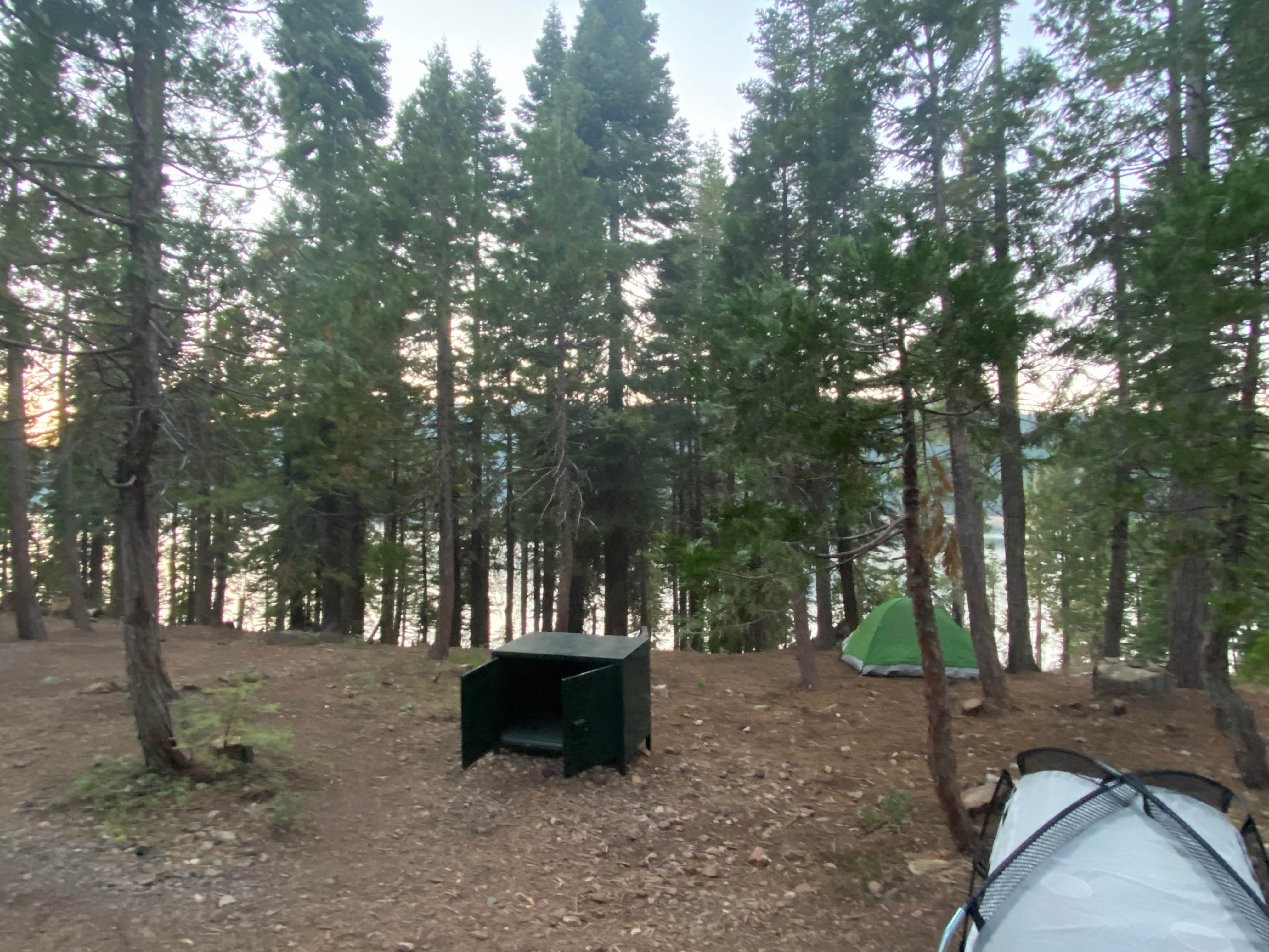 Amanda B.'s photo at French Meadows near Alpine Meadows, CA