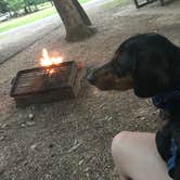 Review photo of Bull Shoals-White River State Park by Amanda Y., August 8, 2020