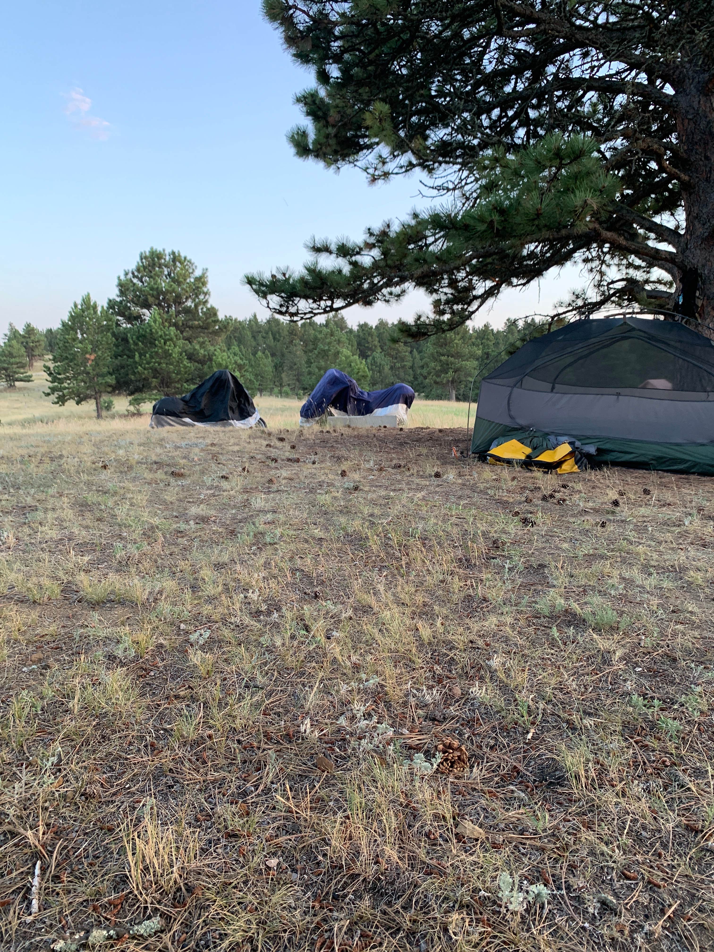 Camper submitted image from Picnic Spring Campground - 5