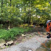 Review photo of My Old Kentucky Home State Park Campground — My Old Kentucky Home State Park by Bethany W., August 8, 2020