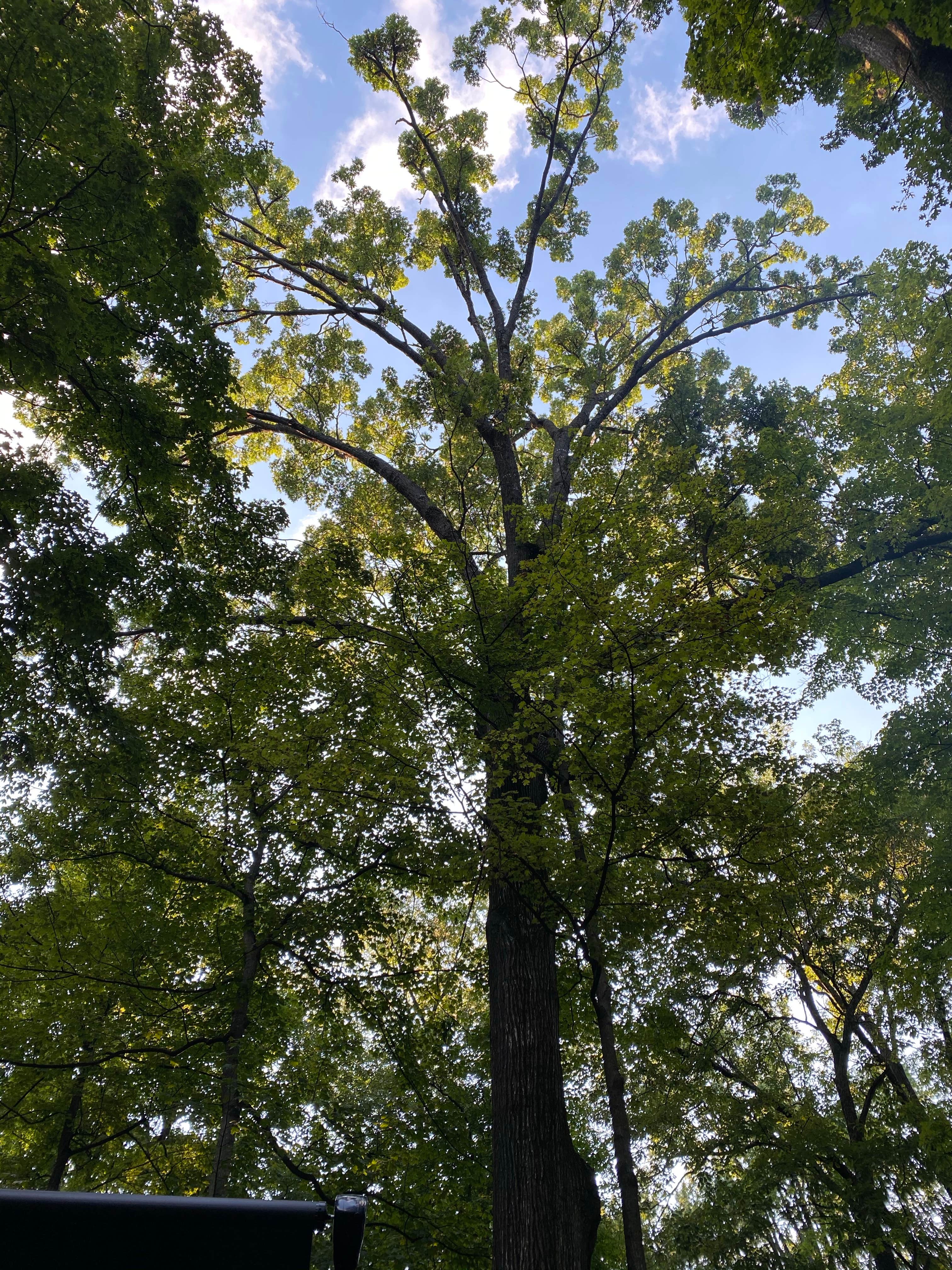 My Old Kentucky Home State Park Campground